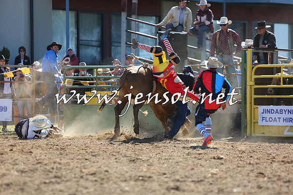 JindabyneRodeo2015_2276