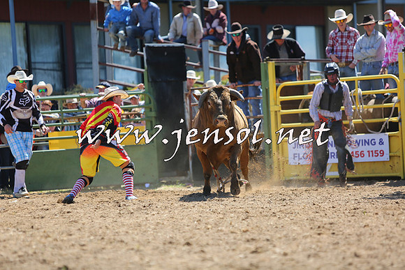 JindabyneRodeo2015_1613