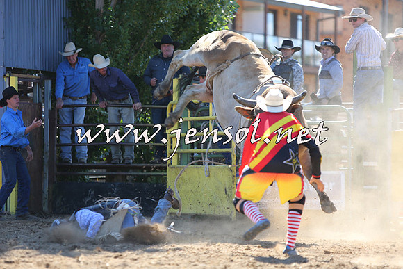 JindabyneRodeo2015_2021