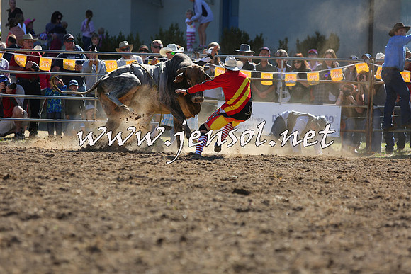 JindabyneRodeo2015_2370