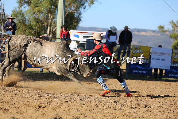 JindabyneRodeo2015_2936
