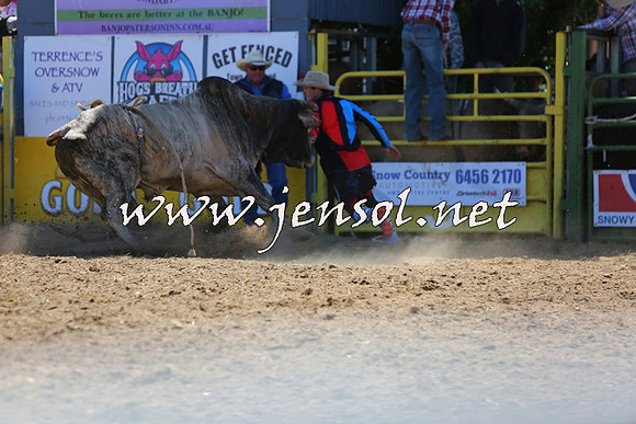 JindabyneRodeo2015_1703