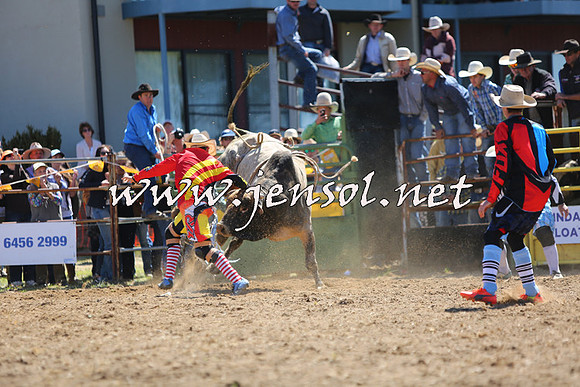 JindabyneRodeo2015_1699