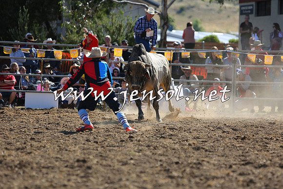 JindabyneRodeo2015_2380
