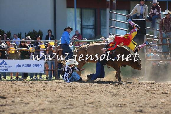 JindabyneRodeo2015_2264