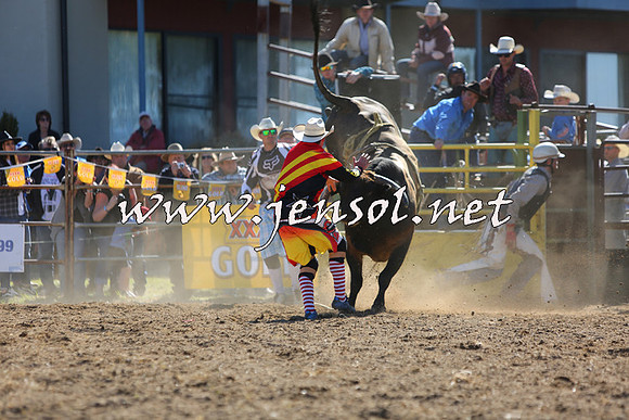 JindabyneRodeo2015_2251