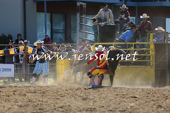 JindabyneRodeo2015_2240