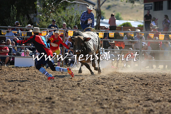 JindabyneRodeo2015_2378