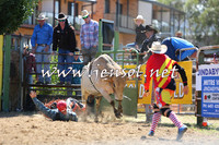 JindabyneRodeo2015_1601
