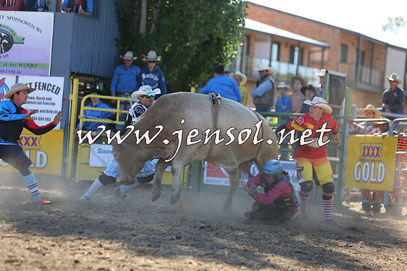 JindabyneRodeo2015_2470