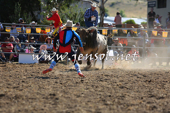 JindabyneRodeo2015_2381