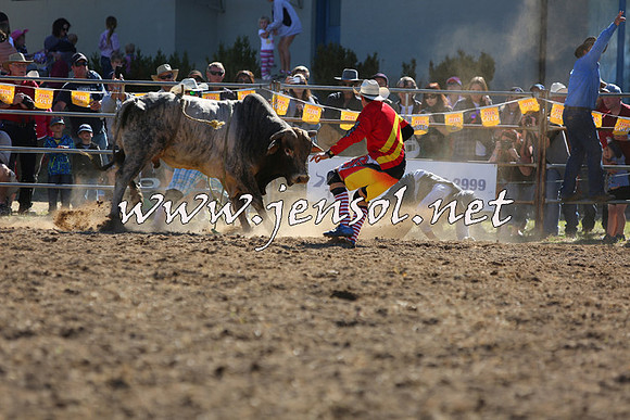 JindabyneRodeo2015_2368