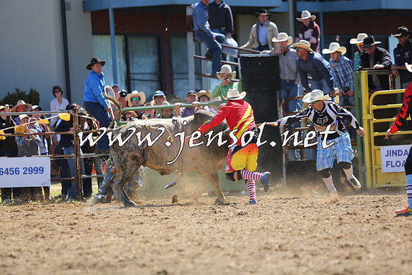 JindabyneRodeo2015_1700