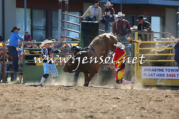 JindabyneRodeo2015_2267
