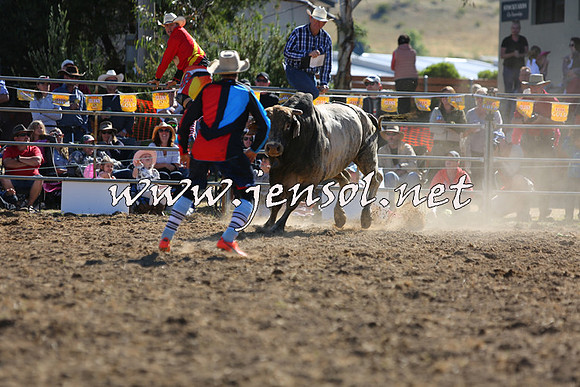 JindabyneRodeo2015_2379