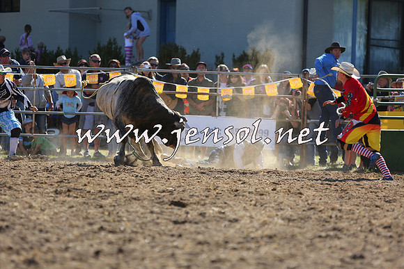 JindabyneRodeo2015_2367