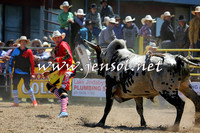 JindabyneRodeo2015_1083
