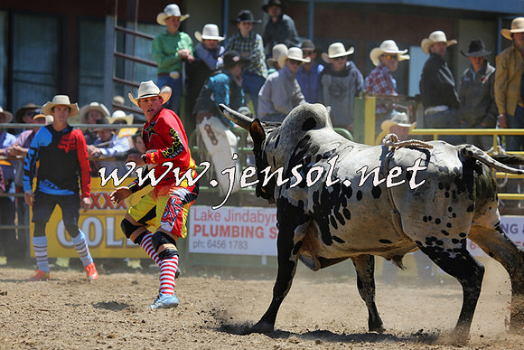 JindabyneRodeo2015_1083