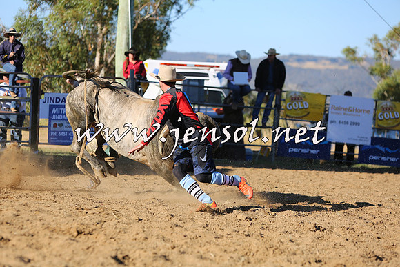 JindabyneRodeo2015_2938