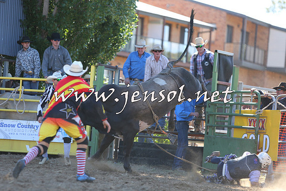 JindabyneRodeo2015_2318