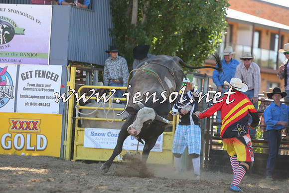JindabyneRodeo2015_2325