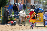 JindabyneRodeo2015_1597