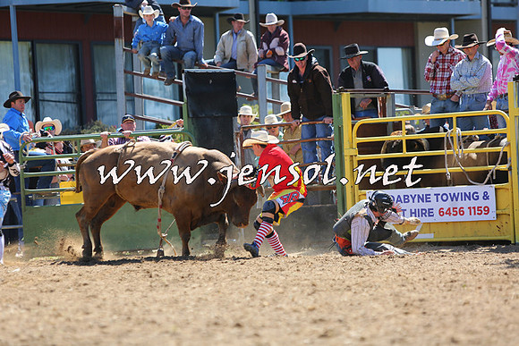 JindabyneRodeo2015_1617