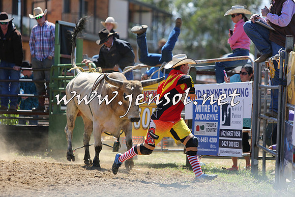 JindabyneRodeo2015_1593
