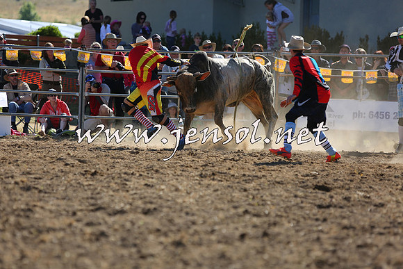 JindabyneRodeo2015_2366