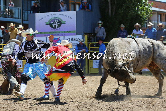 JindabyneRodeo2015_1039