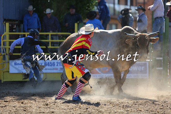 JindabyneRodeo2015_2030