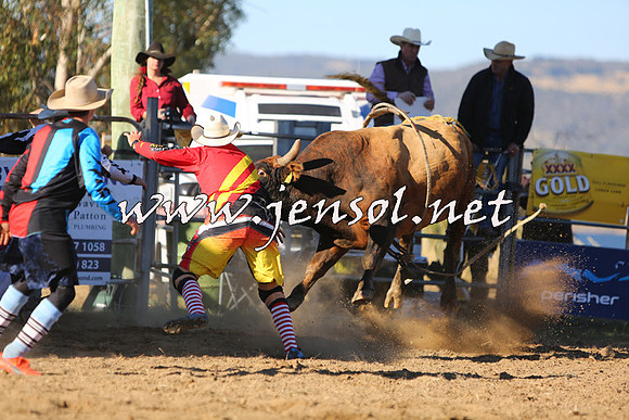 JindabyneRodeo2015_2982