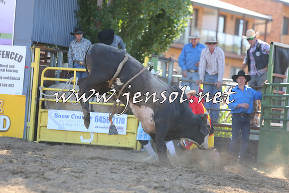 JindabyneRodeo2015_2324