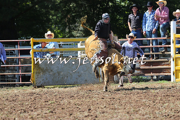Taralga2015_1738