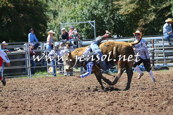 Taralga2015_2089