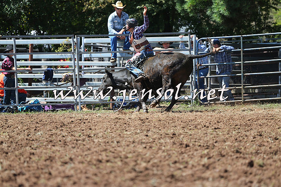 Taralga2015_2129