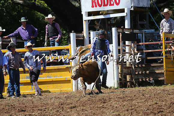 Taralga2015_2075