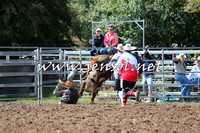 Taralga2015_1667