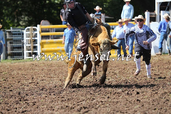 Taralga2015_1772