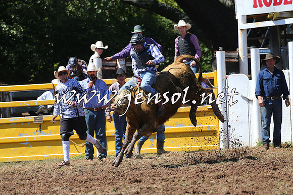 Taralga2015_2076
