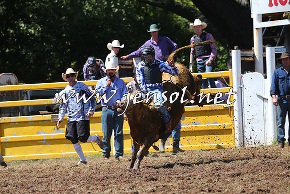 Taralga2015_2077