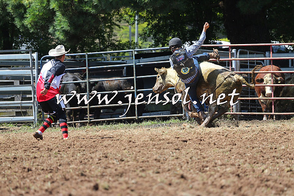 Taralga2015_2160