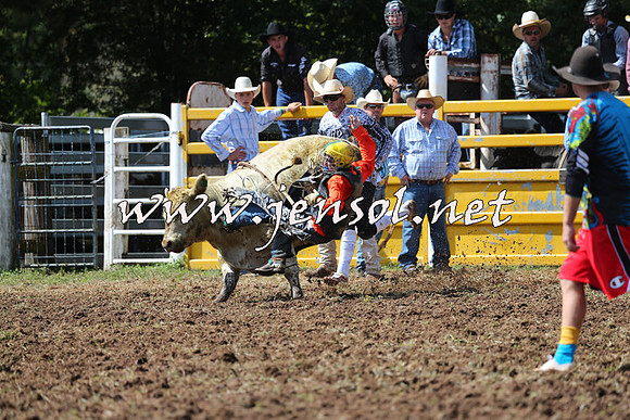 Taralga2015_1689