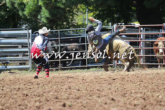 Taralga2015_2163