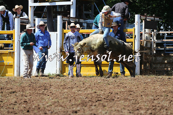 Taralga2015_2149