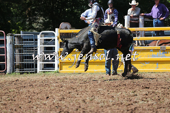 Taralga2015_2096