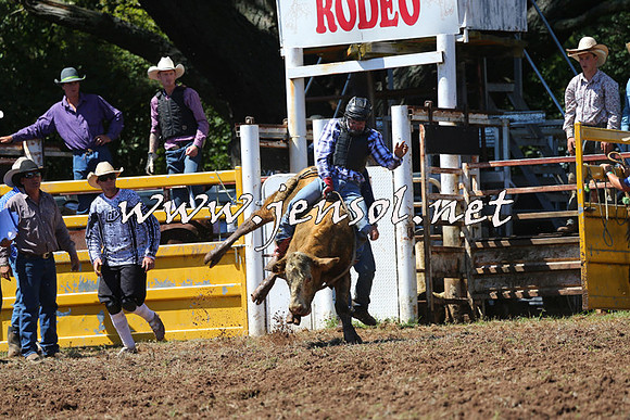 Taralga2015_2074
