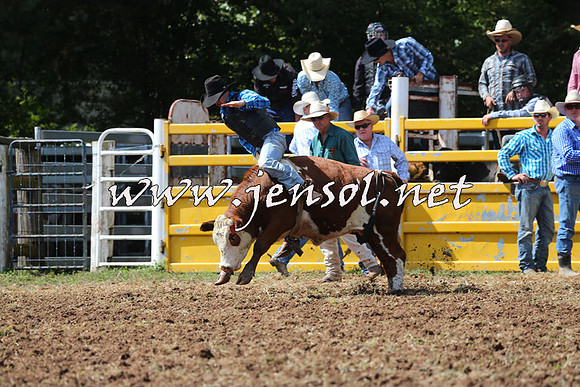 Taralga2015_1699