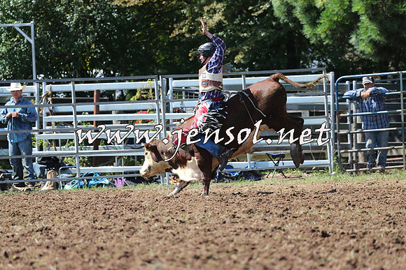Taralga2015_1854