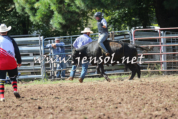 Taralga2015_1729